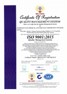 ISO 9001 E1